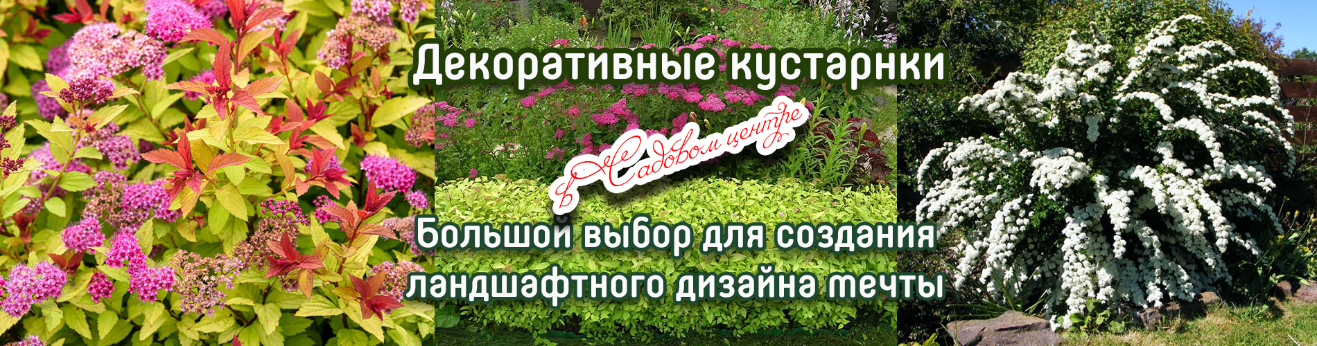 Акции — Зеленый Сад - Уральский плодопитомник