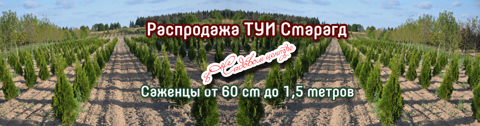 Акции — Зеленый Сад - Уральский плодопитомник