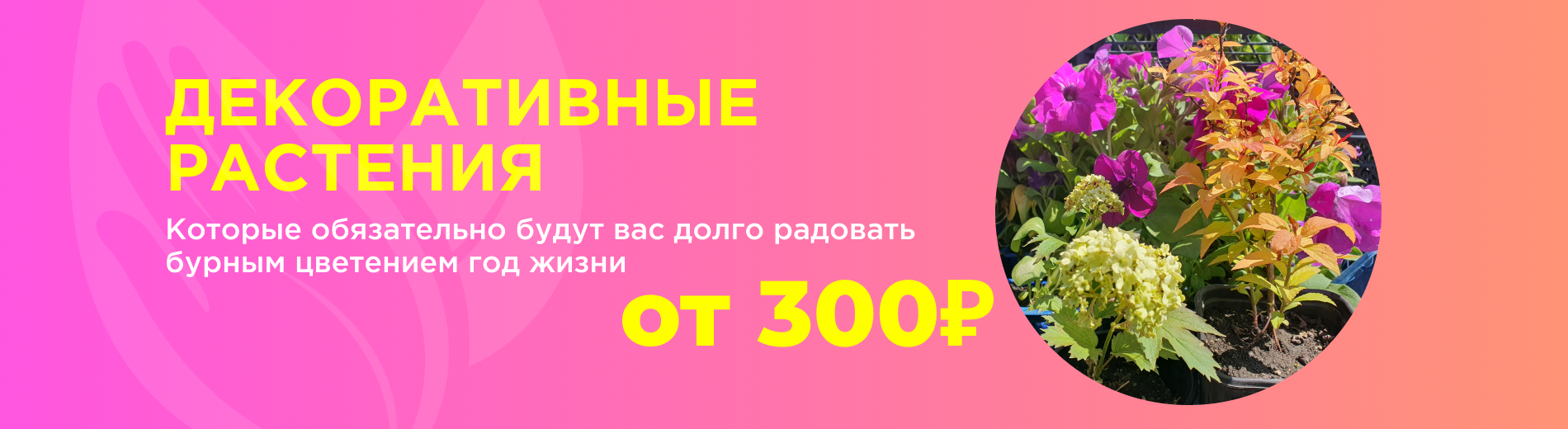 Декор