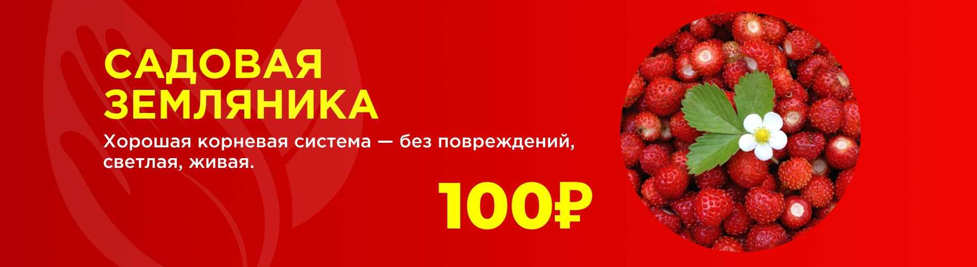 Клубника 2 шт