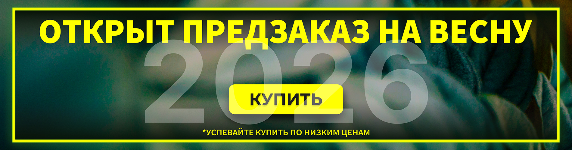 2026 предзаказ