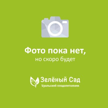 Бен Лир