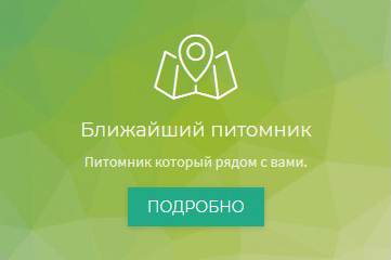 Ближайший питомник на карте